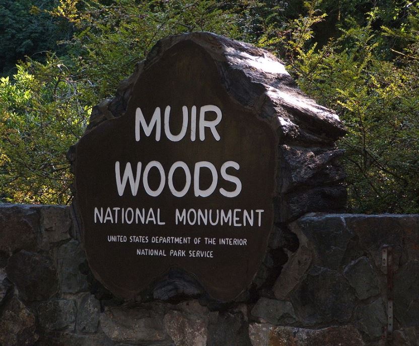 Muir Woods